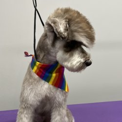 Jeanette James avatar