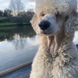 Haley Mashburn avatar