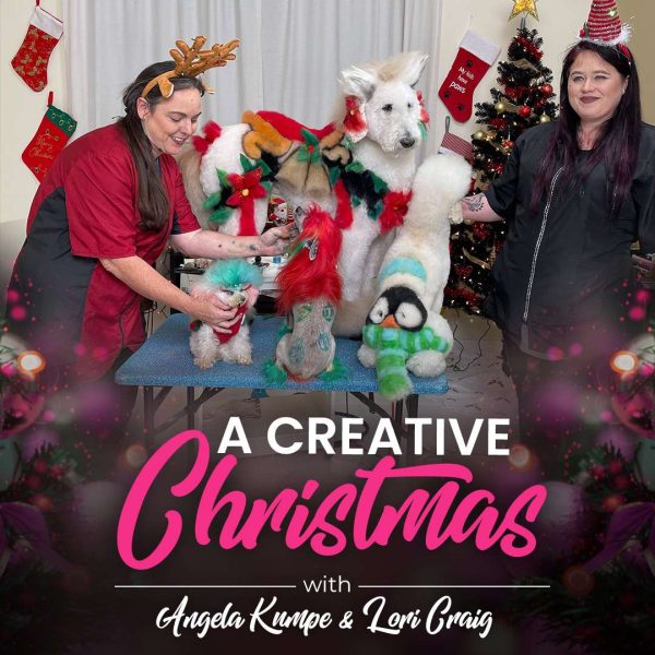 A Creative Christmas Dog Grooming Webinar