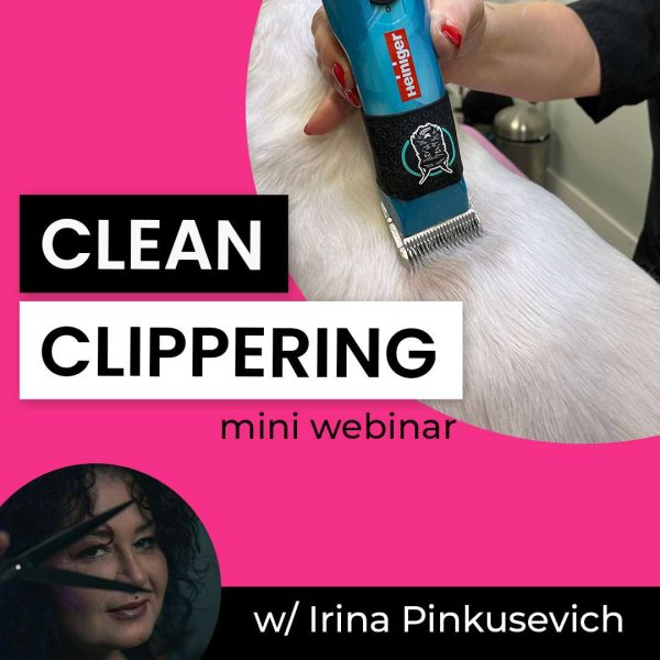 Clean Clippering Dog Grooming Webinar