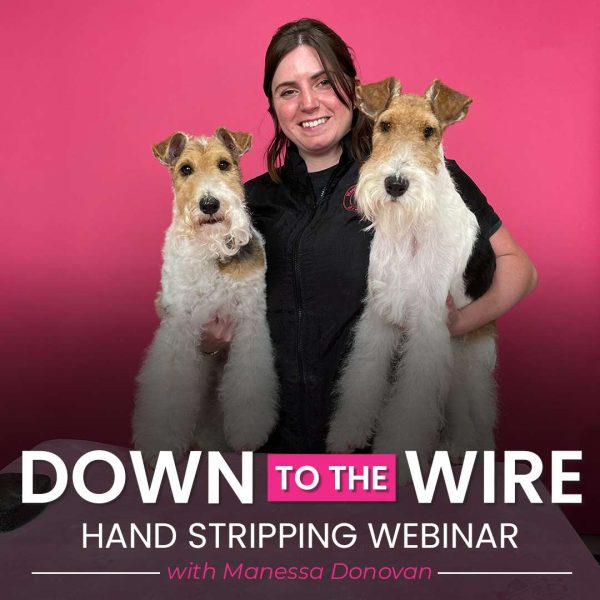 Down to the Wire Dog Grooming Webinar