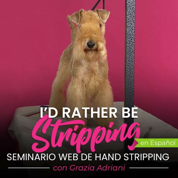 I'd Rather Be Stripping Dog Grooming Webinar - Spanish