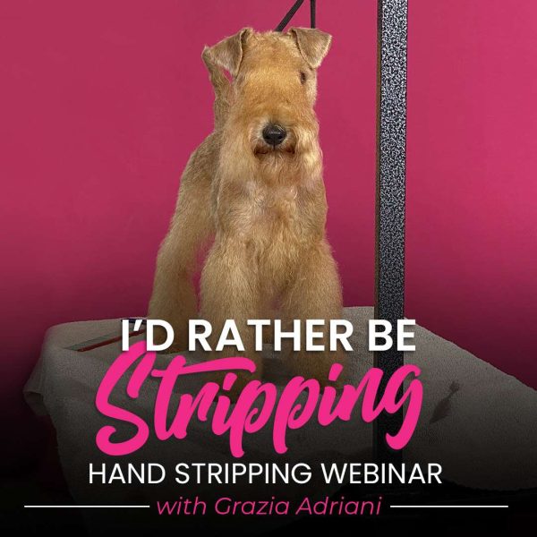 I'd Rather Be Stripping Dog Grooming Webinar