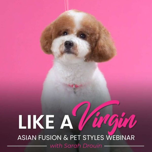 Like a Virgin Dog Grooming Webinar