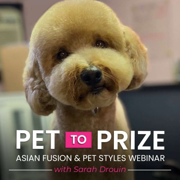 Pet to Prize Dog Grooming Webinar