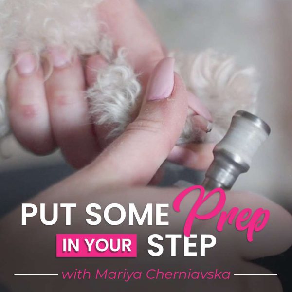 Put Some Prep In Your Step Dog Grooming Webinar