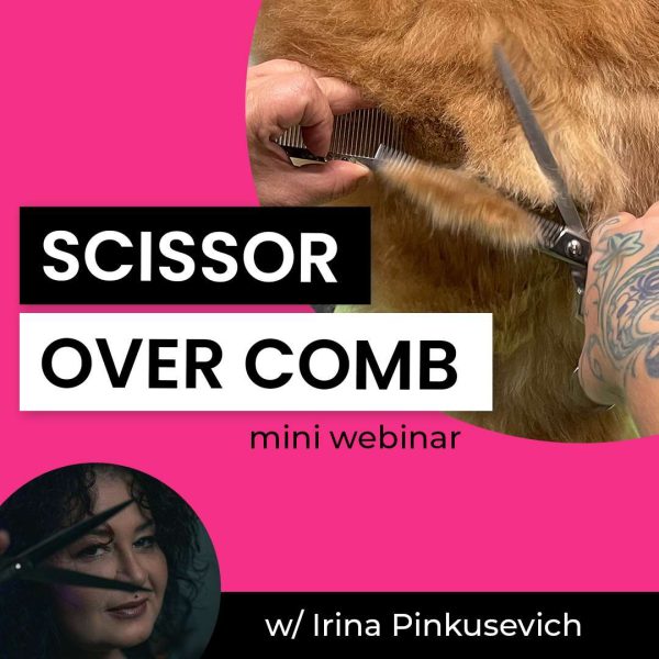 Scissor Over Comb Dog Grooming Webinar