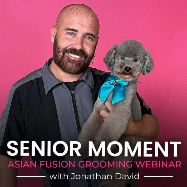 Senior Moment Dog Grooming Webinar