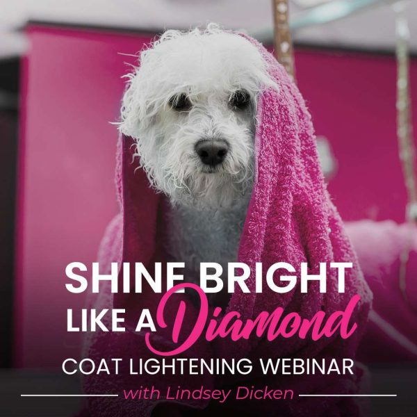 Shine Bright Coat Lightening Dog Grooming Webinar Lindsey Dicken