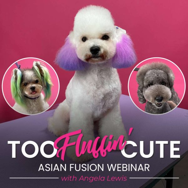 Too Fluffin Cute Dog Grooming Webinar