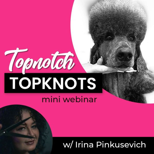 Topnotch Topknots Dog Grooming Webinar