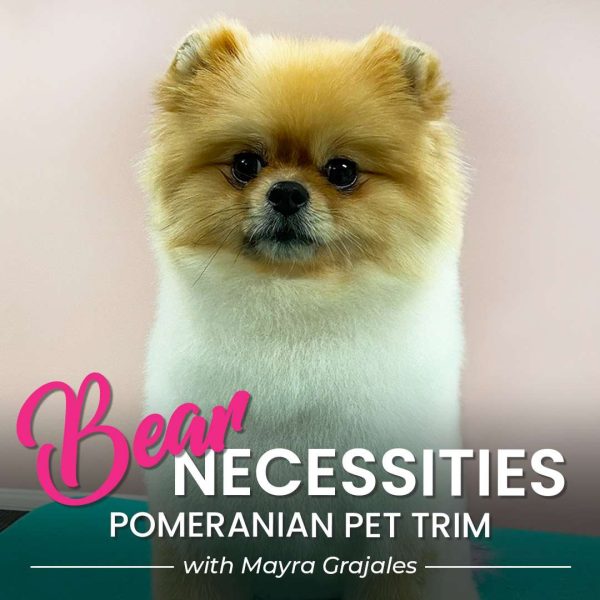 Bear Necessities Dog Grooming Course