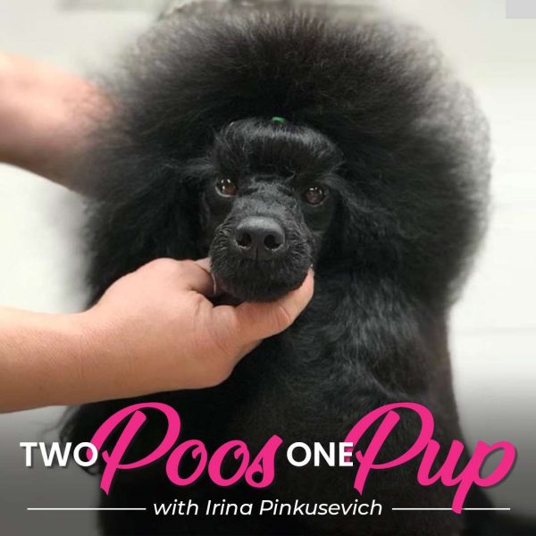 Two Poos One Pup Dog Grooming Webinar