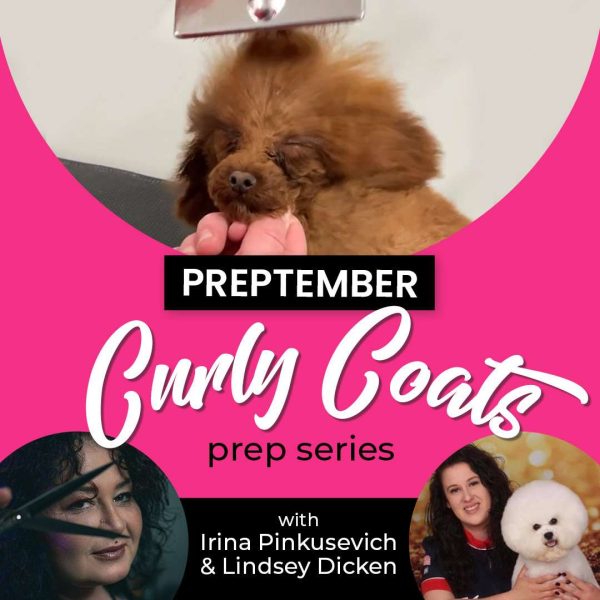 Preptember Curly Coats Dog Grooming Webinar