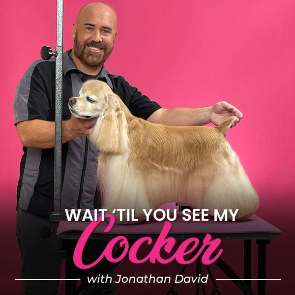Wait Til You See My Cocker Dog Grooming Course