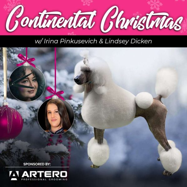 Continental Christmas Dog Grooming Webinar