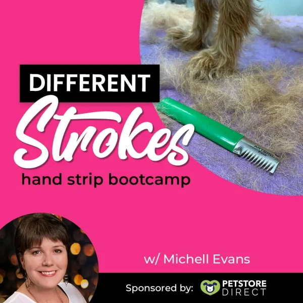 Different Strokes Hand Strip Bootcamp