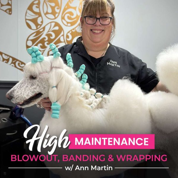 High Maintenance Dog Grooming Course