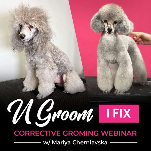 U Groom I Fix Corrective Dog Grooming Webinar