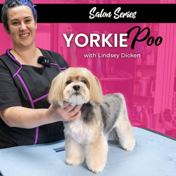 Yorkie Poo Dog Grooming Course