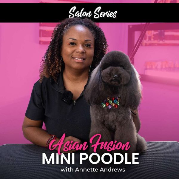 Asian Fusion Mini Poodle Dog Grooming Course