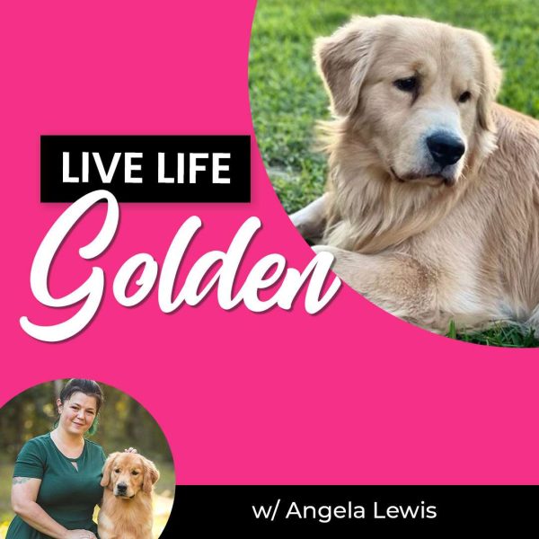 Live Life Golden Dog Grooming Webinar