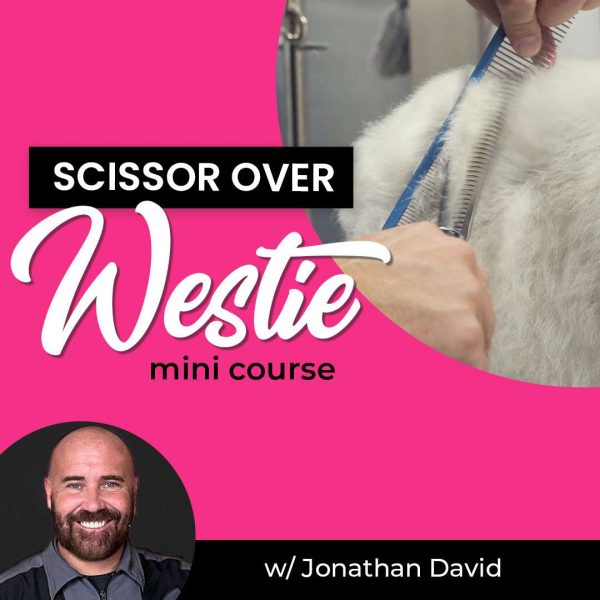 Scissor Over Westie Dog Grooming Course