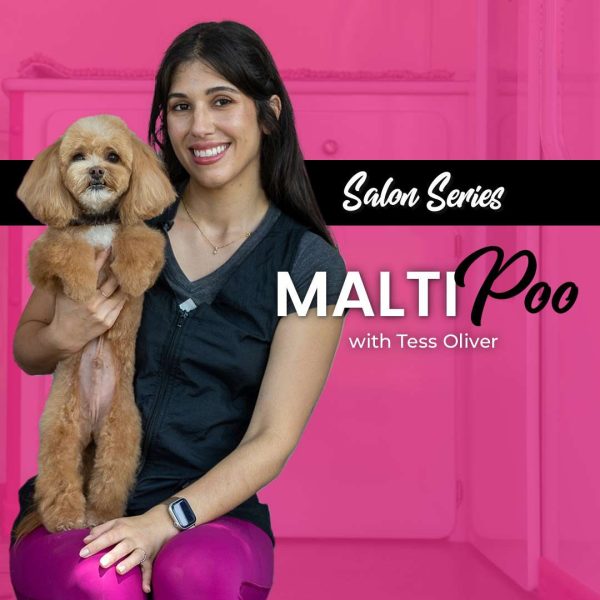 Malti Poo Dog Grooming Course