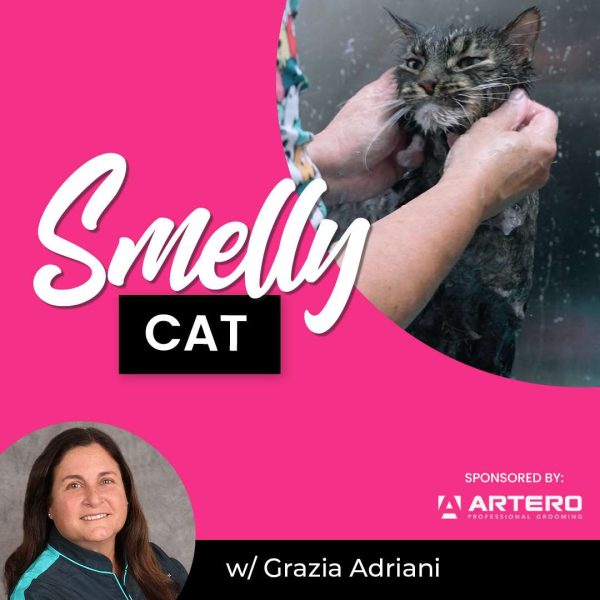 Smelly Cat Grooming Course
