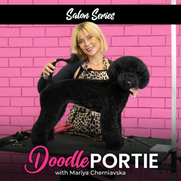 Doodle Portie Dog Grooming Course