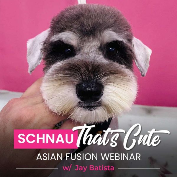 Schnau That's Cute Dog Grooming Webinar