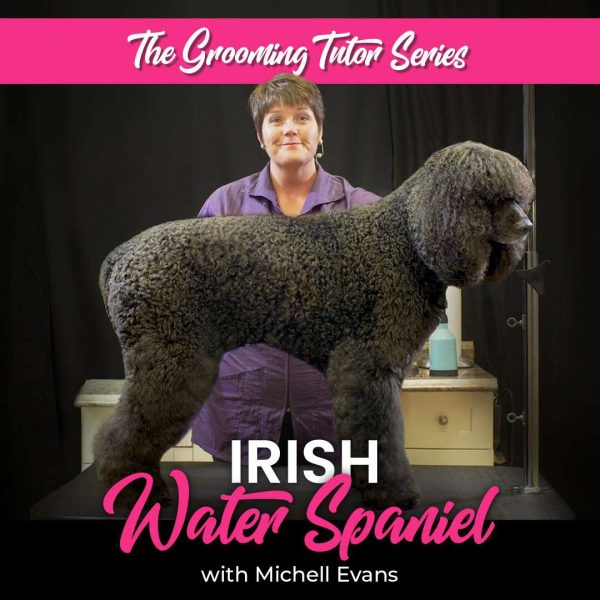 Irish Water Spaniel Dog Grooming Course