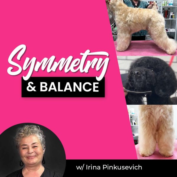 Symmetry & Balance Dog Grooming Webinar