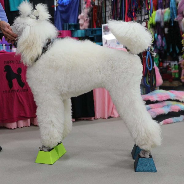 Dog Training Stacking Blocks