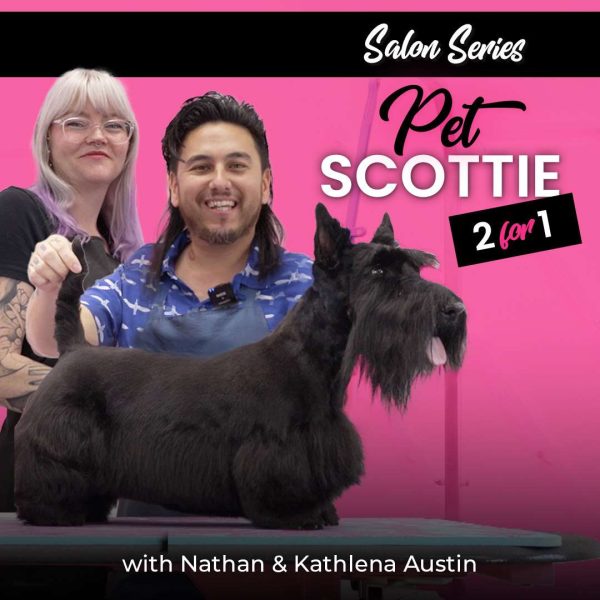 Pet Scottie 2-for-1 Dog Grooming Course