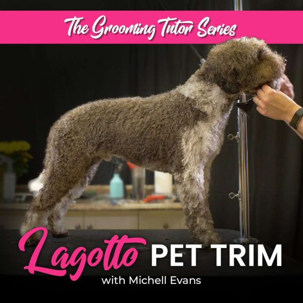 Lagotto Pet Trim Dog Grooming Course
