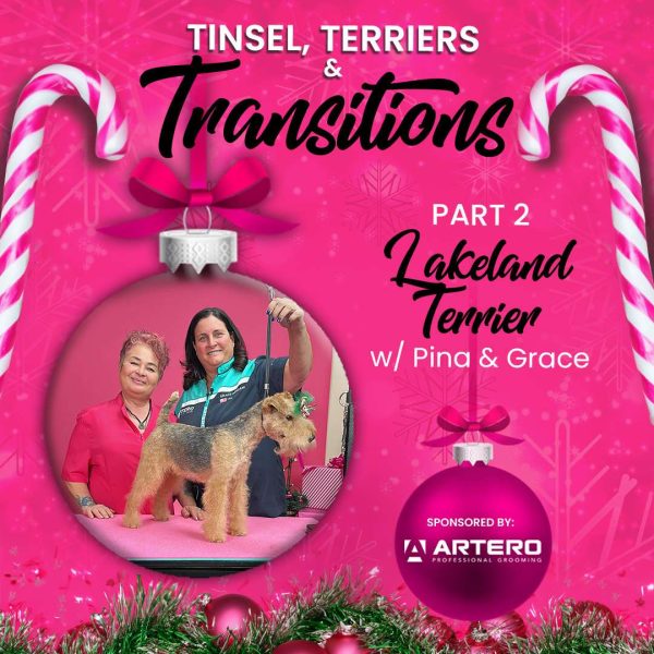 Tinsel, Terriers & Transitions Lakie Webinar