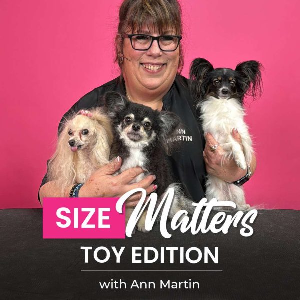 Size Matters Toy Edition Dog Grooming Webinar