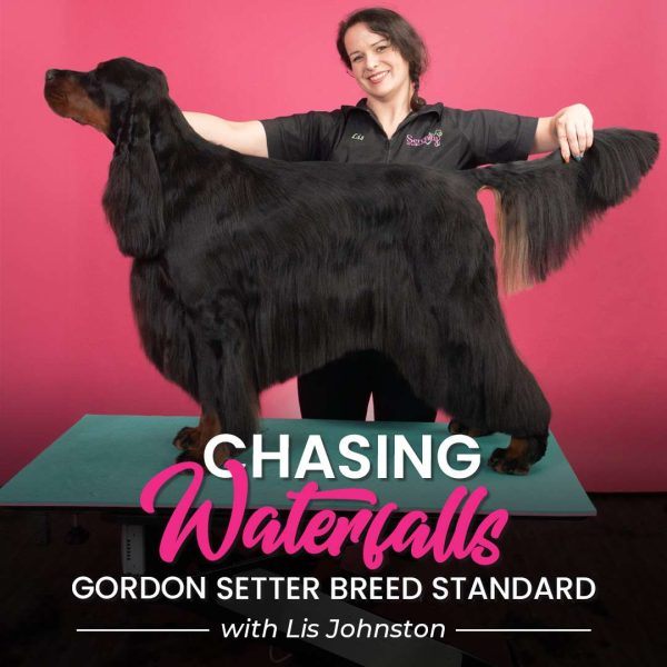 Chasing Waterfalls Gordon Setter Dog Grooming Course