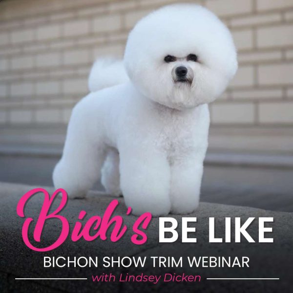 Bich's Be Like Bichon Grooming Webinar