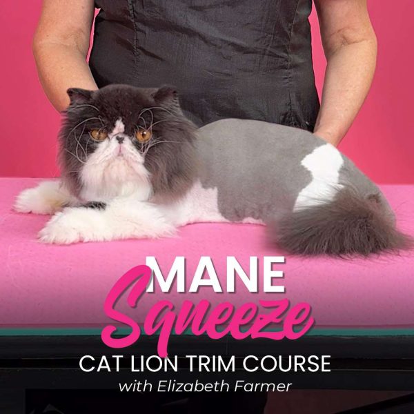 Mane Squeeze Cat Grooming Course