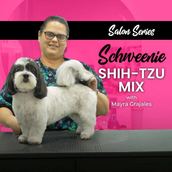 Schweenie Shih-tzu Mix Dog Grooming Course