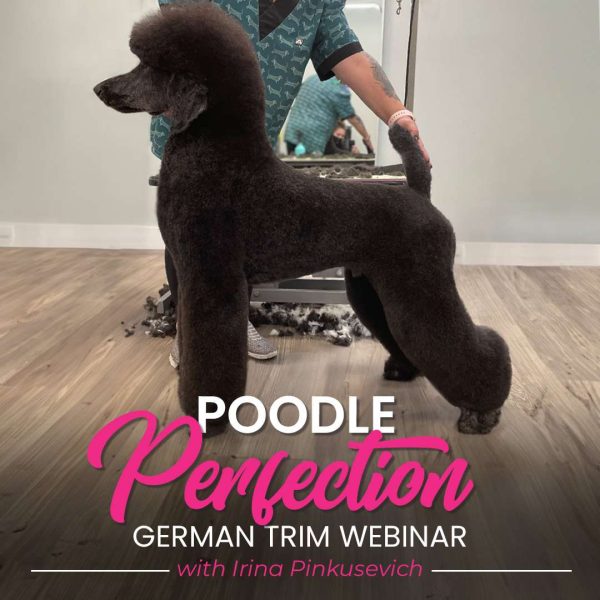 Poodle Perfection German Trim Webinar