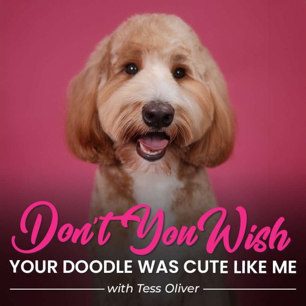 Don't You Wish Doodle Grooming Course