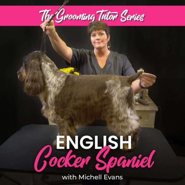 English Cocker Spaniel Dog Grooming Course