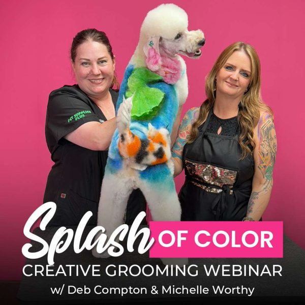 Splash of Color Creative Dog Grooming Webinar