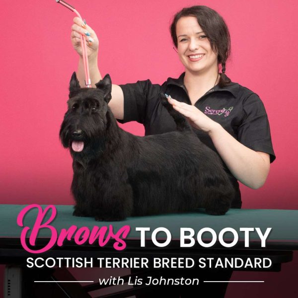 Brows to Booty Scottish Terrier Grooming Course