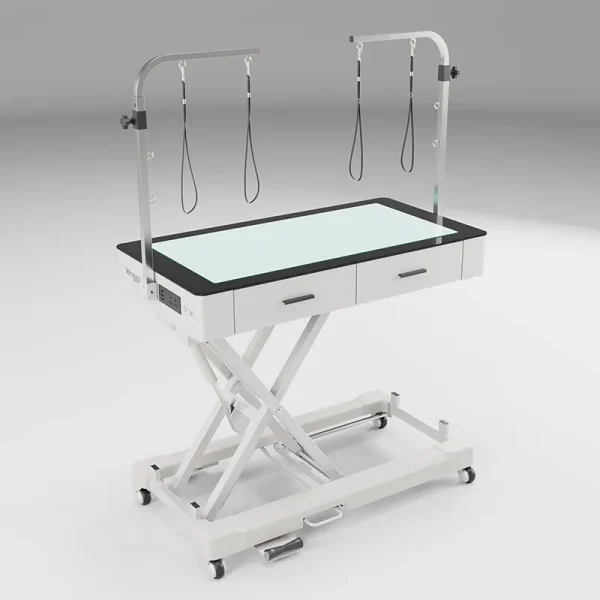Waggz Electric Grooming Tables