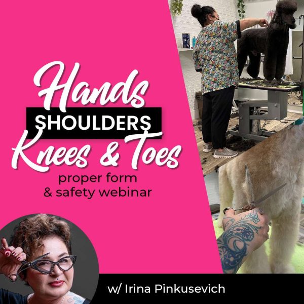 Hands, Shoulders, Knees & Toes Grooming Webinar