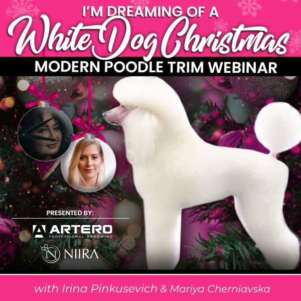 Modern Poodle Trim Dog Grooming Webinar